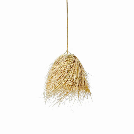 Cloche
