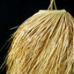 Cloche